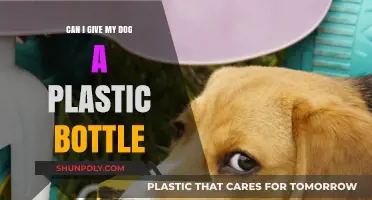 Can Dogs Safely Chew Plastic Bottles? Risks and Alternatives