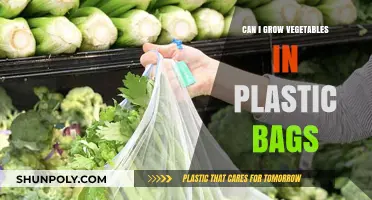 Grow Veggies in Plastic Bags: A Smart Solution