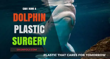 Exploring the Reality of Dolphin-Inspired Plastic Surgery: Is It Possible?
