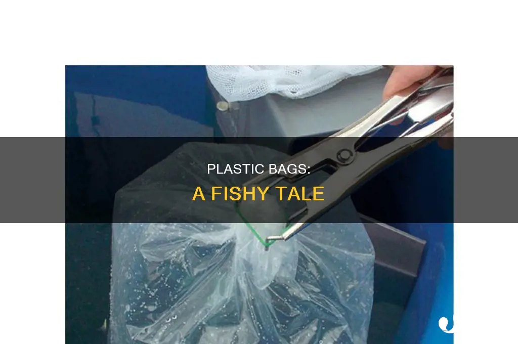 can i have a plastic bag it