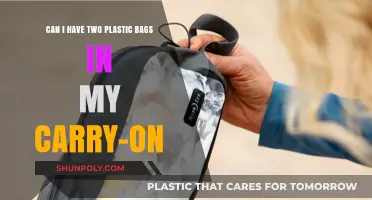 Plastic Bags in Carry-On: How Many Are Allowed?