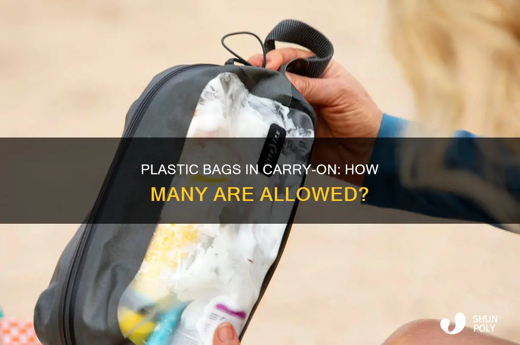 can i have two plastic bags in my carry-on