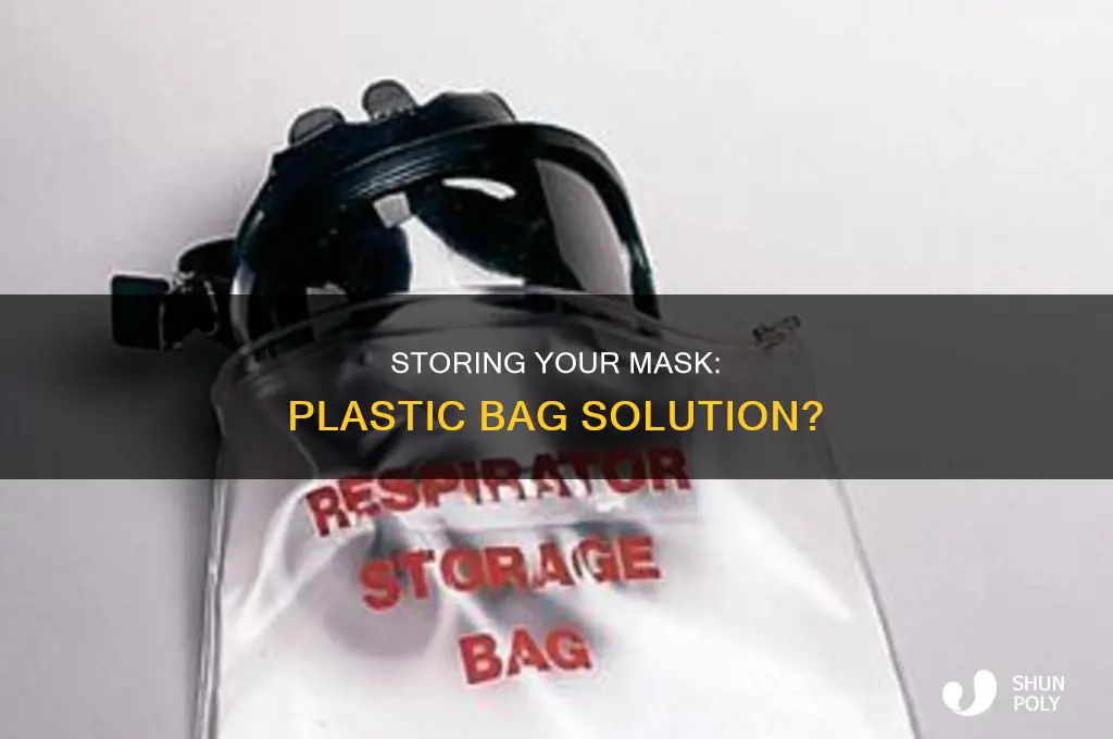 can i keep my mask in a plastic bag