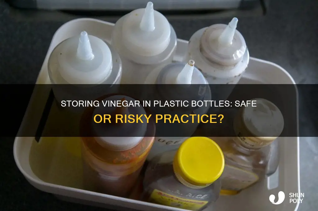 can i keep vinegar in a plastic bottle