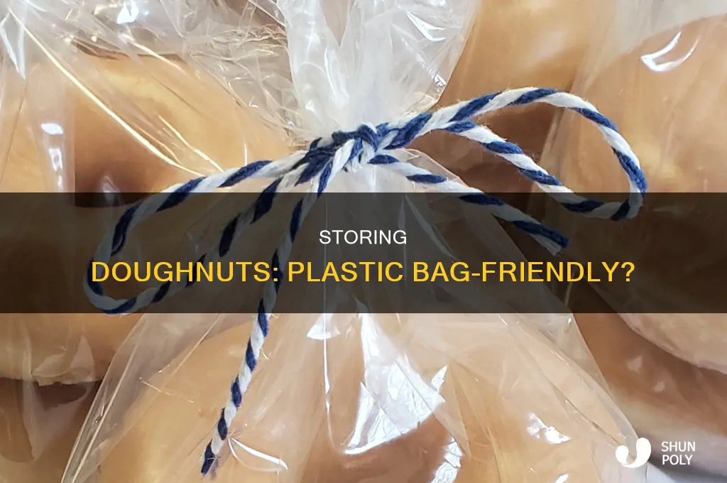 can i put a dohnut in a plastic bag
