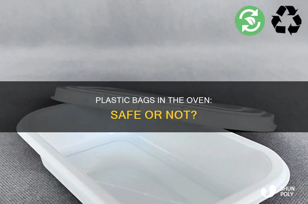 can i put a plastic bag in the oven