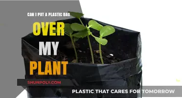 Protect Your Plants: Plastic Bag Method