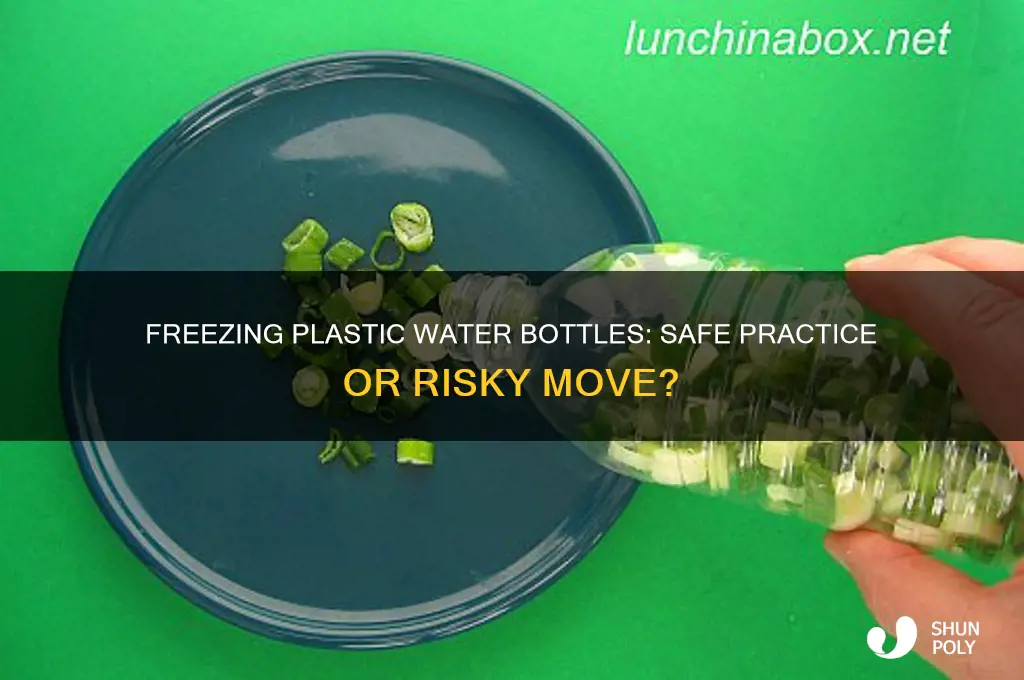 can i put a plastic water bottle in the freezer