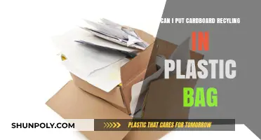 Cardboard Conundrum: Plastic Bag Recycling