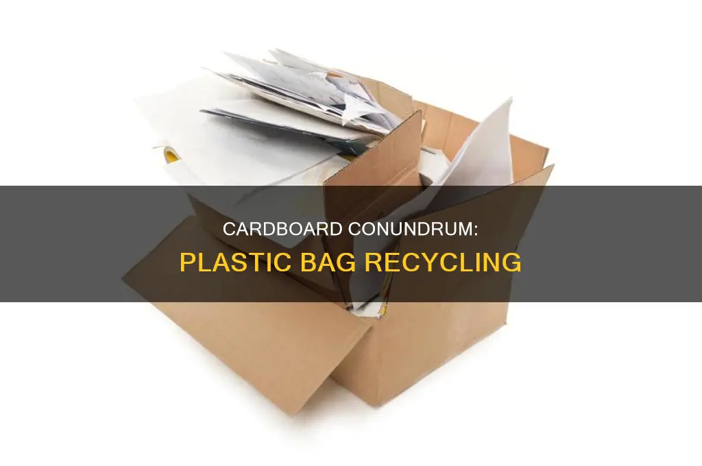 can i put cardboard recyling in plastic bag