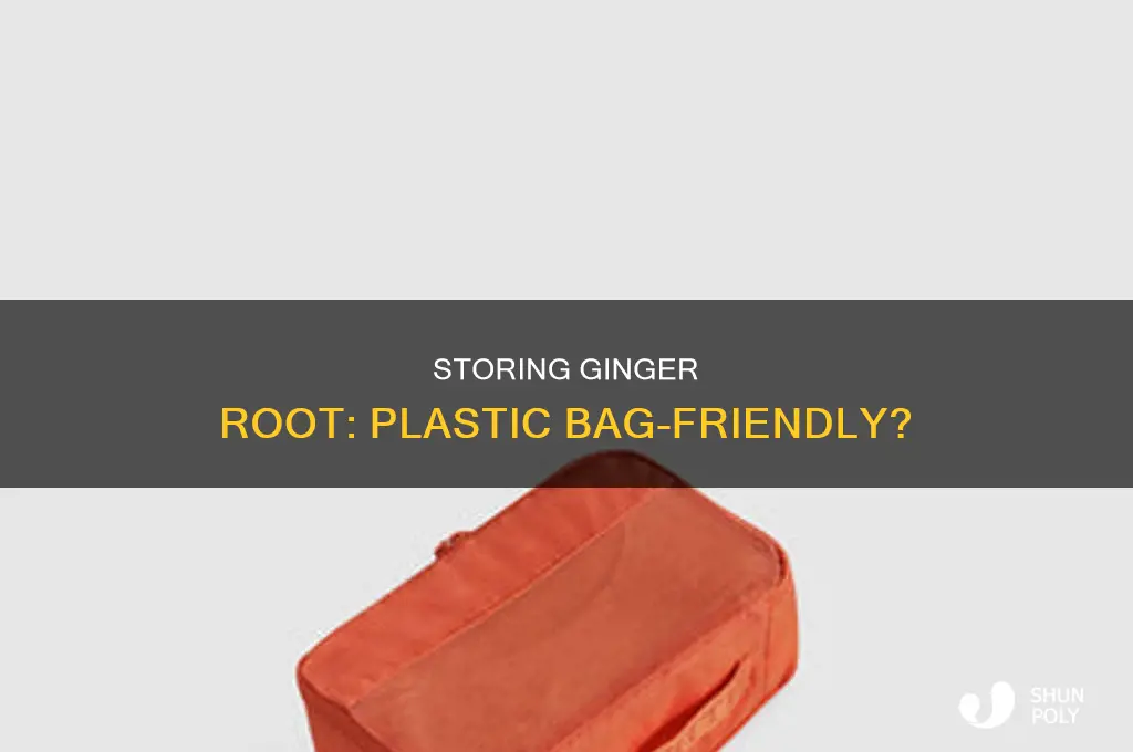 can i put ginger root in a plastic bag