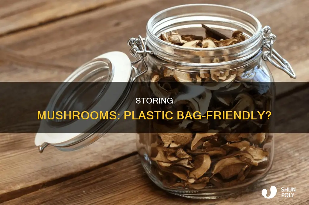 can i put mushrooms in a plastic bag