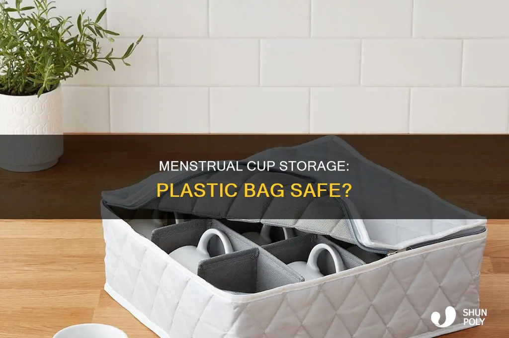 can i put my menstrual cup in a plastic bag