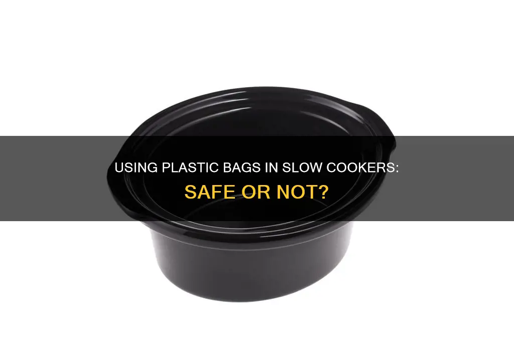 can i put plastic bag in slow cooker