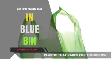 Recycling Plastic Bags: Blue Bin Do's and Don'ts