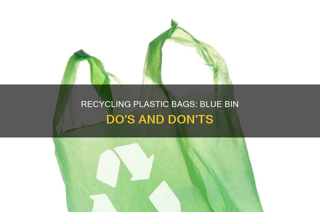 can i put plastic bags in blue bin