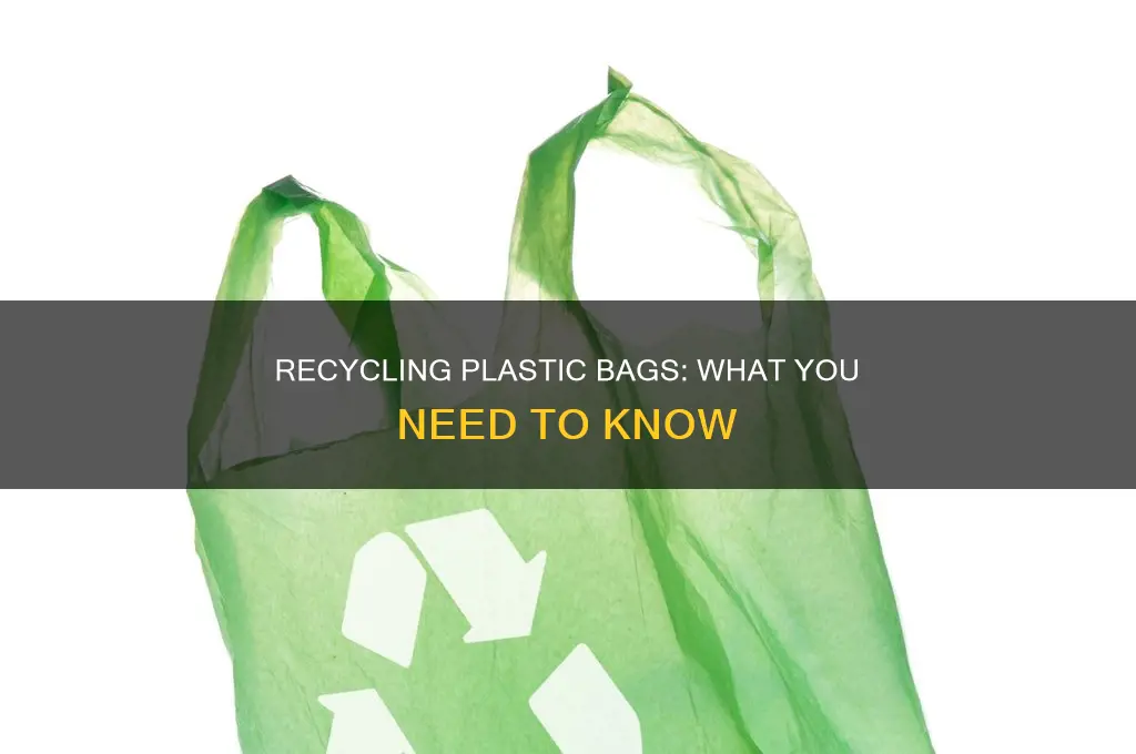 can i put plastic bags in my recycle bin