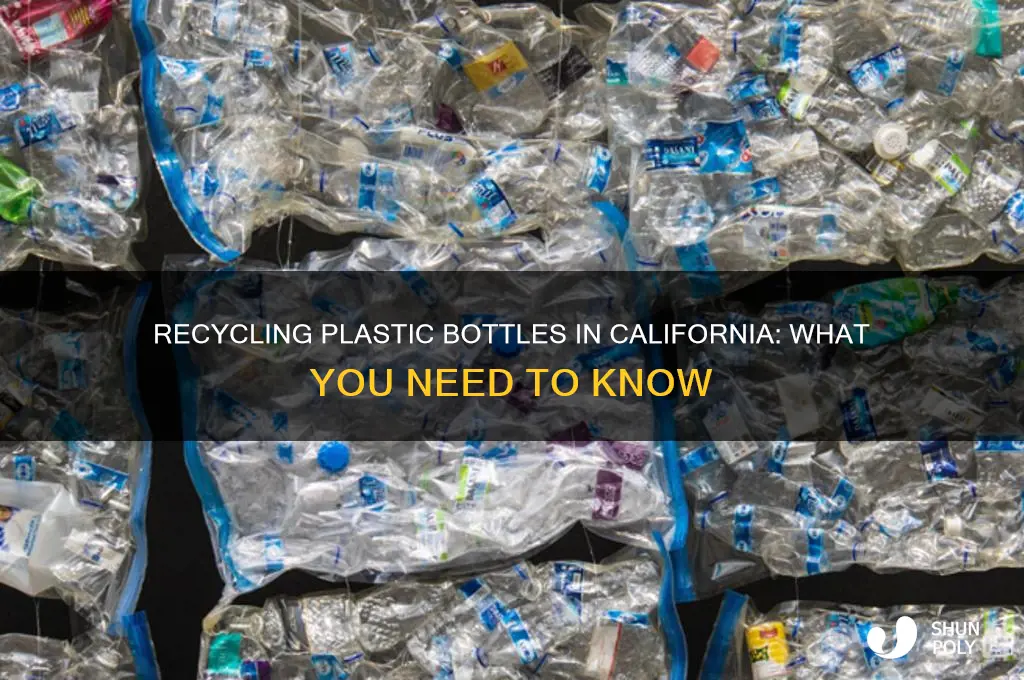 can i put plastic bottles in the recycling bin california