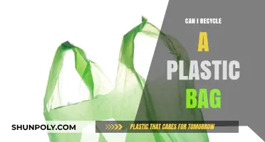 How to Recycle Plastic Bags?