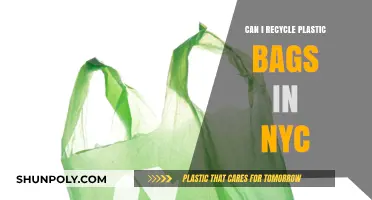 Recycling Plastic Bags: NYC's Guide to Going Green