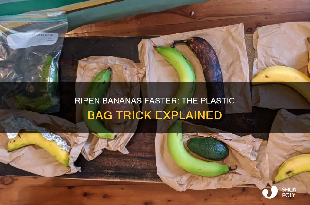 can i ripen bananas in a plastic bag