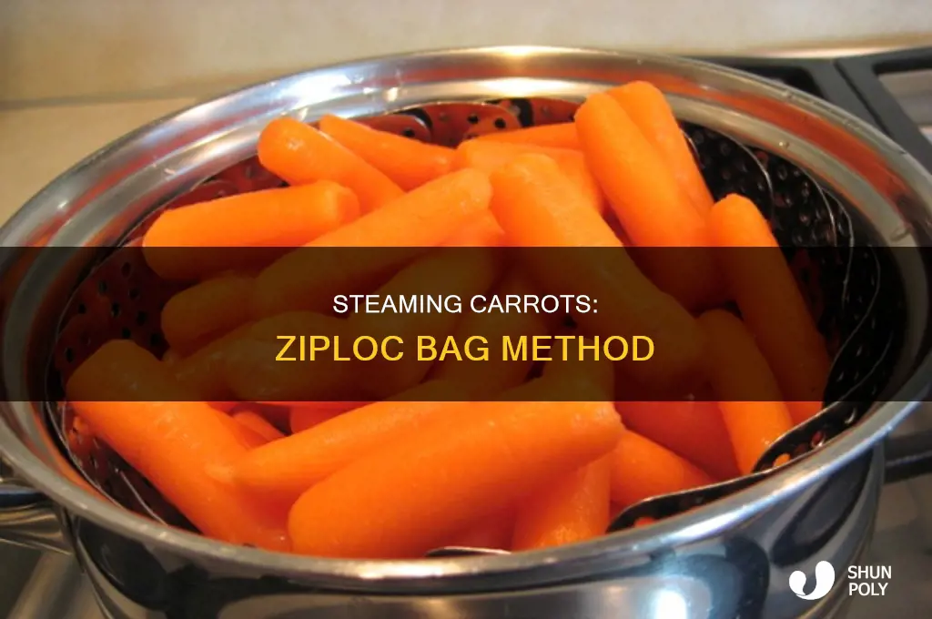 can i steam carrots in a plastic ziploc bag