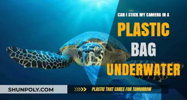 Plastic Bag Underwater Photography: Is It Worth It?