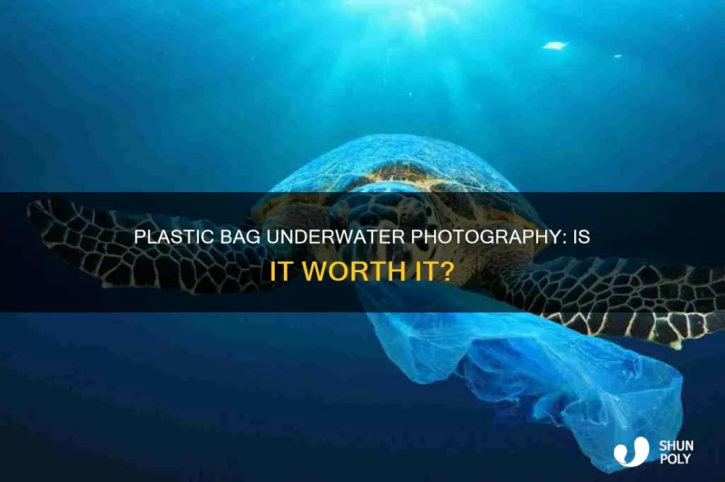 can i stick my camera in a plastic bag underwater