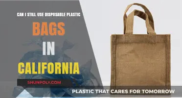 Plastic Bags: California's Ban and Your Alternatives