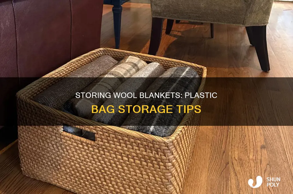 can i store a wool blanket in a plastic bag