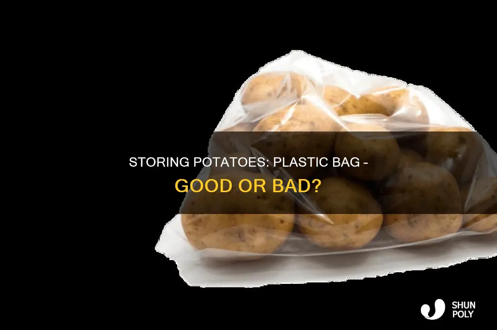 can i store potatoes in a plastic bag