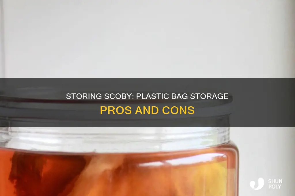 can i store scoby in plastic bag