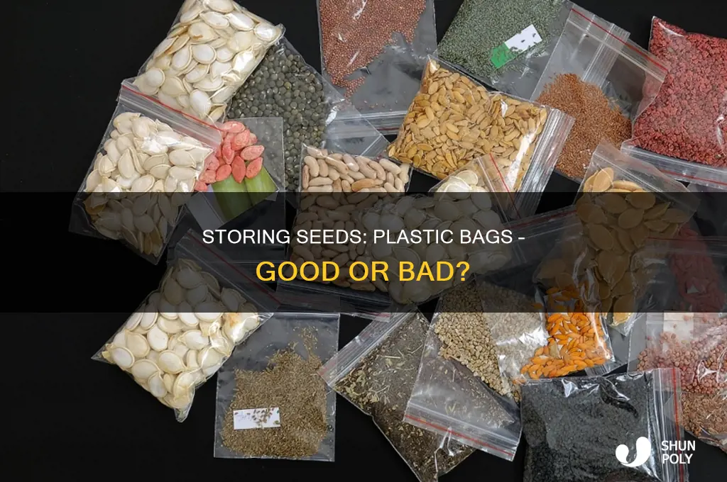 can i store seeds in plastic bags