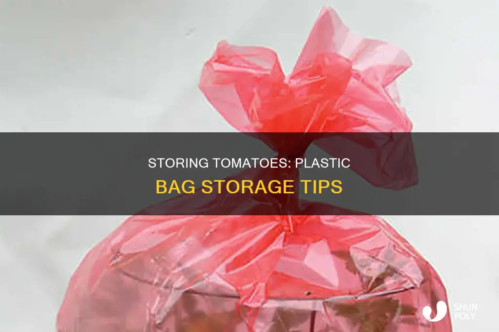 can i store tomatoes in a plastic bag