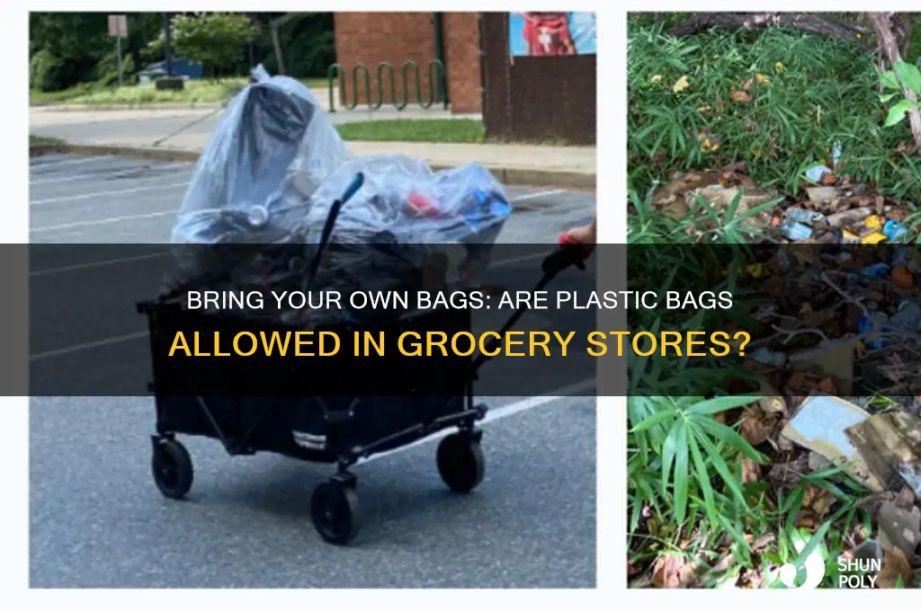 can i take my own plastic bags into grocery stores