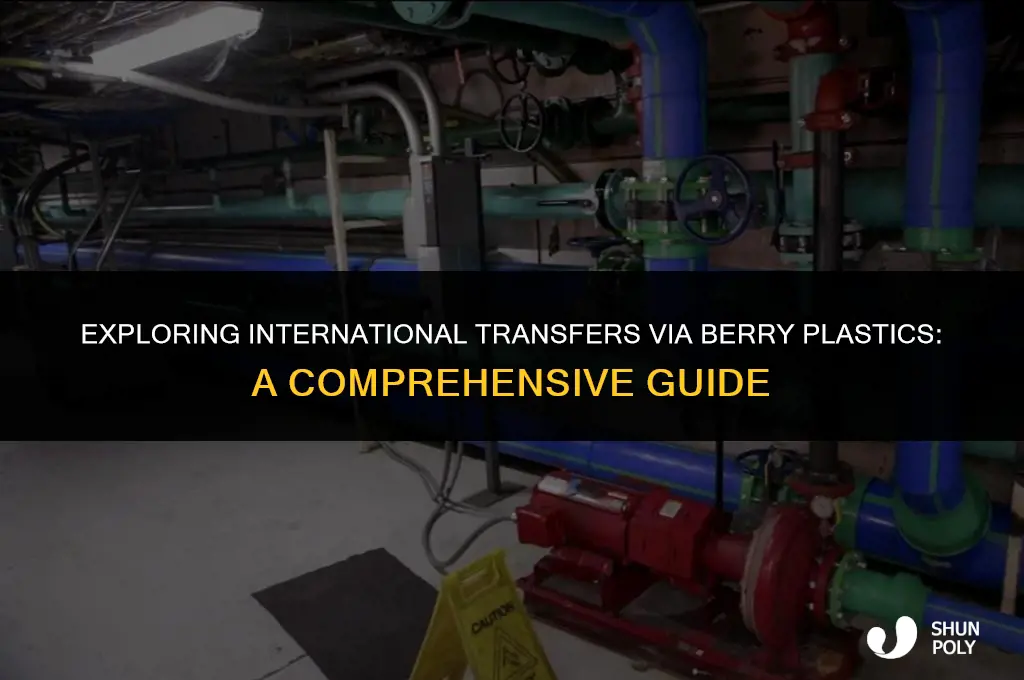 can i transfer out of the country through berry plastics