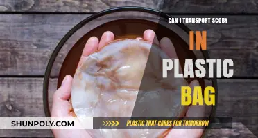 SCOBY Transport: Plastic Bag- Safe or Not?