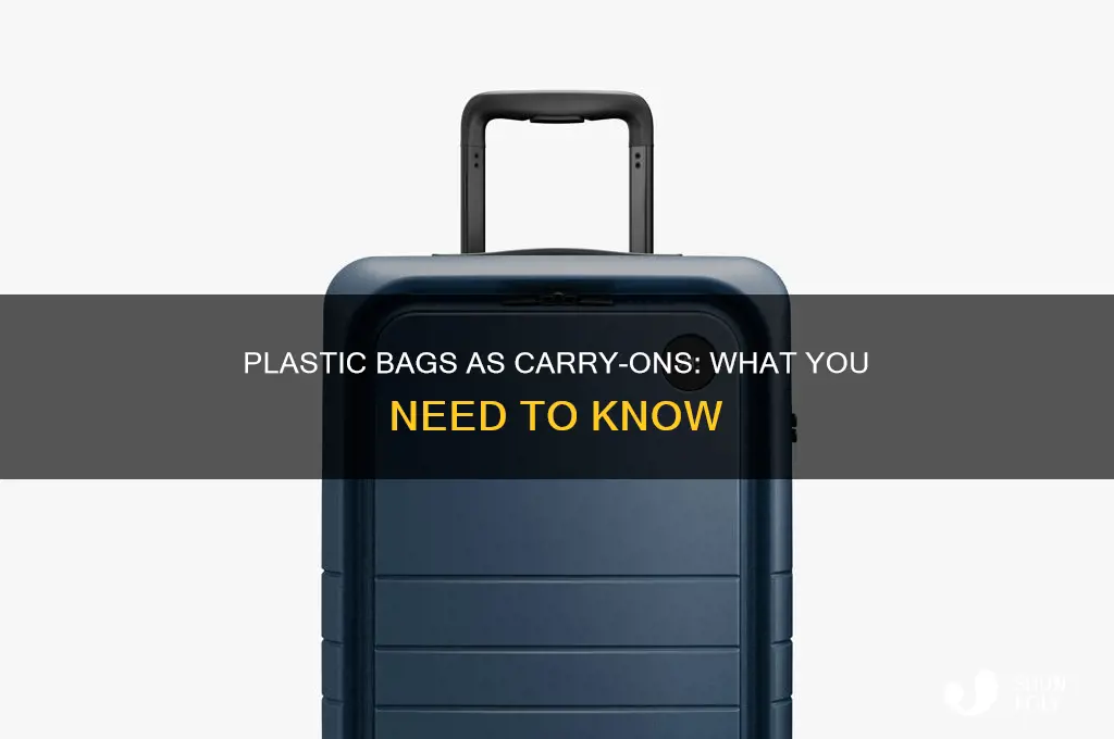 can i use a plastic bag as a carry on