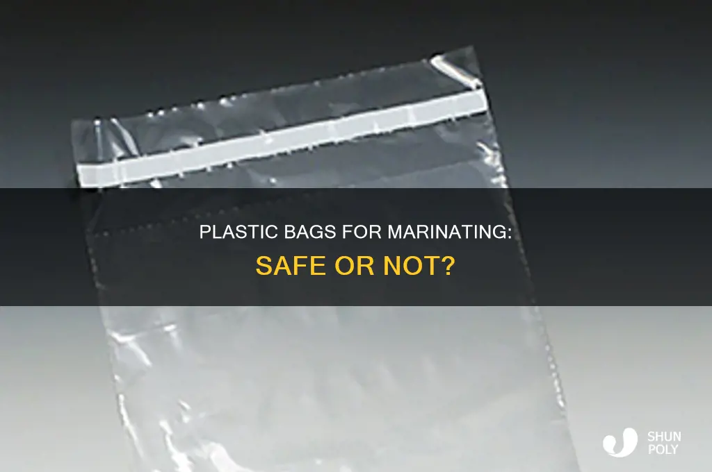 can i use a plastic bag for marinaing