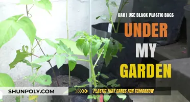 Black Plastic Bags: Friend or Foe in the Garden?