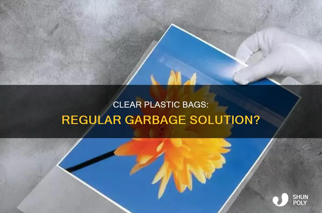 can i use clear plastic bags for regular garbage