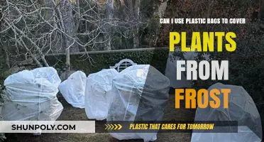 Protecting Plants: Plastic Bags for Frosty Nights