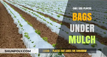Plastic Bags and Mulch: A Good Idea?