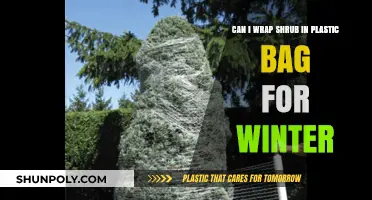 How to Winterize Shrubs with Plastic Bags