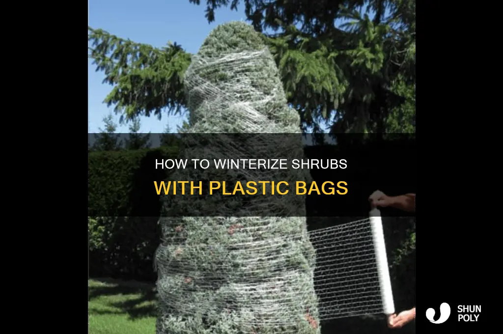 can i wrap shrub in plastic bag for winter