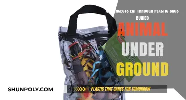 Insects: Plastic Bag Burial Protection or Peril?