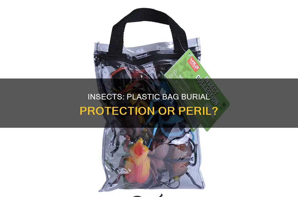 can insects eat through plastic bags buried animal under ground