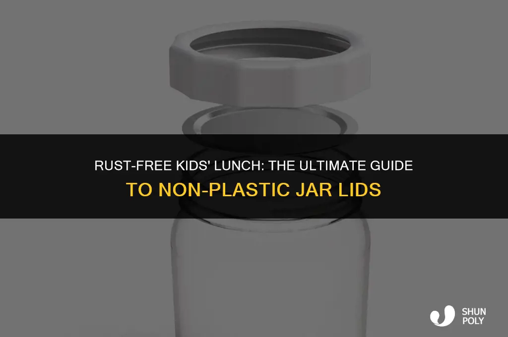 can jar lid not plastic rust free kid lunch