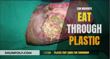 Nature's Cleanup Crew: Can Maggots Really Digest Plastic?
