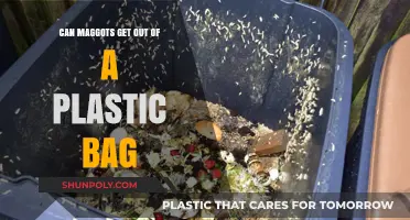 Maggots: Escaping Plastic Bags?